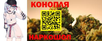 гашик Ирбит