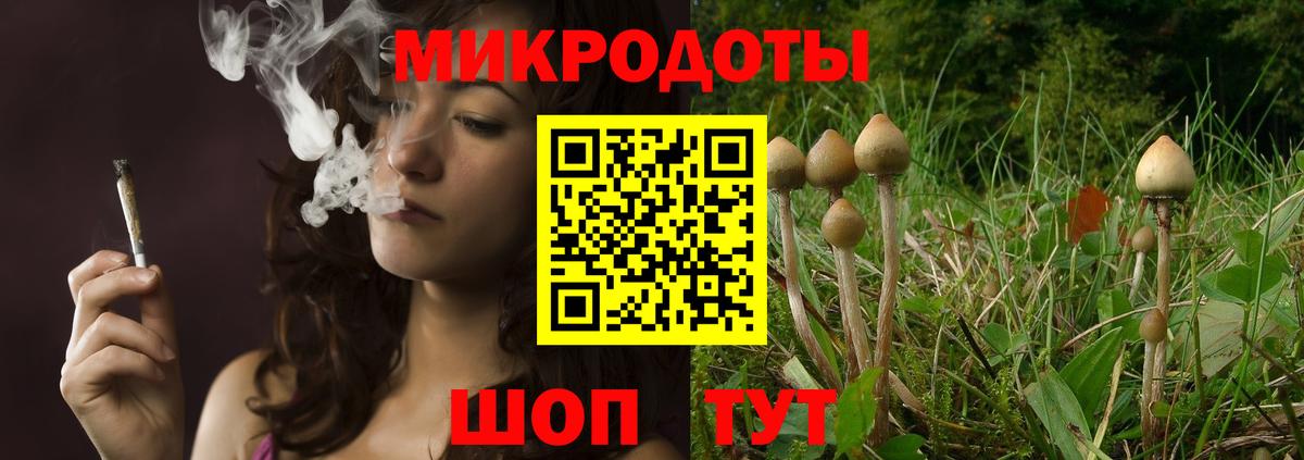 Галлюциногенные грибы Cubensis  Вход с VPN  Заволжье  Псилоцибиновые грибы прущие грибы 